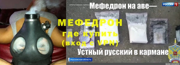 прущие грибы Заводоуковск