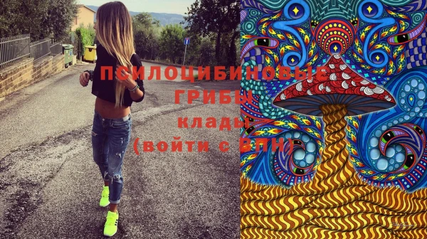 а пвп мука Алзамай