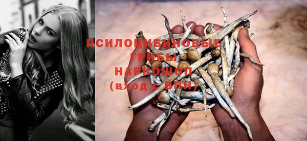 а пвп мука Алзамай