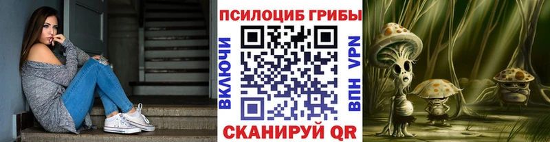 дарнет шоп  Петровск-Забайкальский  Псилоцибиновые грибы Magic Shrooms 